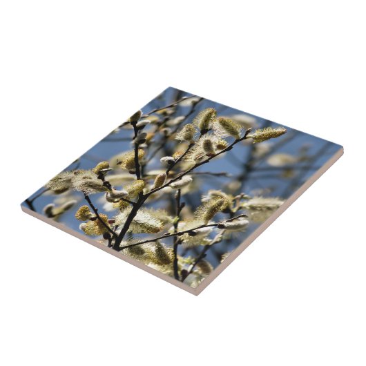 CARREAU ARBRE SAUVAGE (Côté)