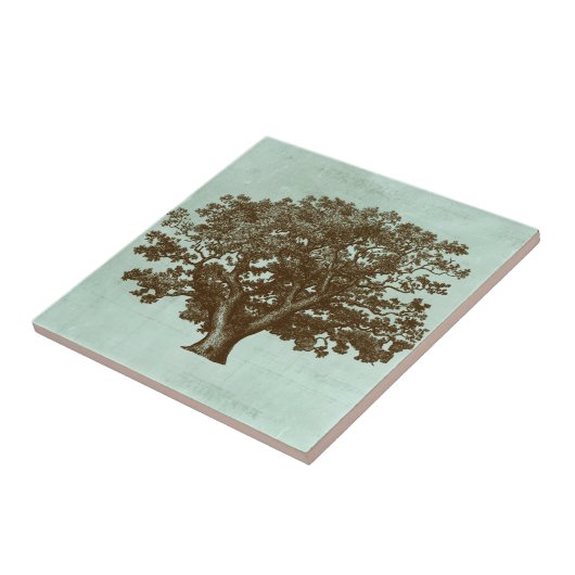 Carreau Arbre spa IV (Côté)