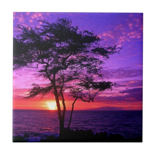 Carreau Arbre violet et rose de coucher du soleil (Devant)