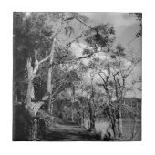 CARREAU ARBRES (Devant)