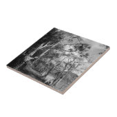 CARREAU ARBRES (Côté)