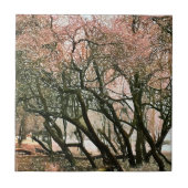 CARREAU ARBRES (Devant)