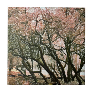 CARREAU ARBRES