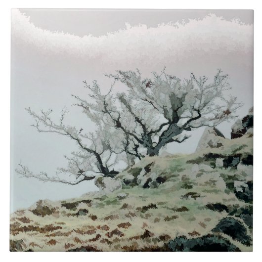 CARREAU ARBRES (Devant)