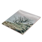 CARREAU ARBRES (Côté)