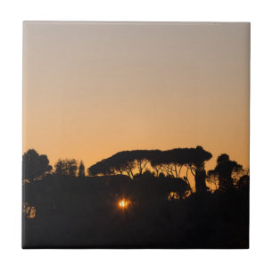 Carreau Arbres au coucher du soleil dans le rétroéclairage