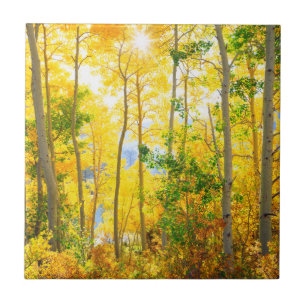 Carreau Arbres d'Aspe en Automne Montagnes de Sierra Nev