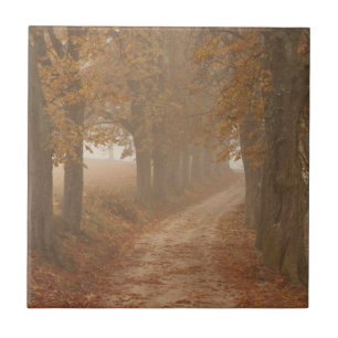 Carreau Arbres d'automne