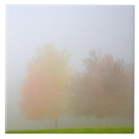 Carreau Arbres de chute enveloppés en brume (Devant)