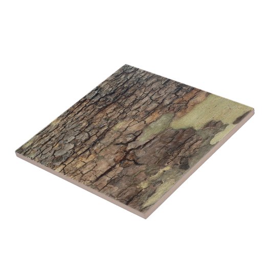 Carreau Arbres de forêt rustiques (Côté)