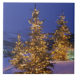 Carreau Arbres de Noël, Park City, Wastch Mountains, 2