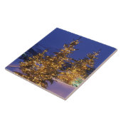 Carreau Arbres de Noël, Park City, Wastch Mountains, 2 (Côté)