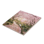 Carreau Arbres Fleurs de Cerisier (Côté)