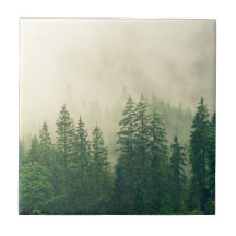 Arbres hivernaux de forêt brumeuse