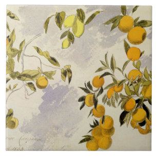 Carreau Arbres oranges, 1863 (la semaine, graphite fini à