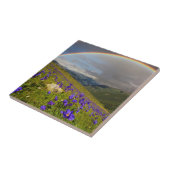 Carreau Arc-en-ciel au-dessus d'un pré fleurissant (Côté)