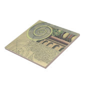 Carreau Architecture Ancienne ; Volute Ionique par Vignole (Côté)