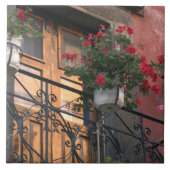 Carreau Architecture dans les rues de San Miguel de (Devant)