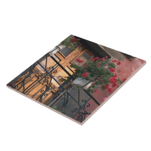 Carreau Architecture dans les rues de San Miguel de (Côté)