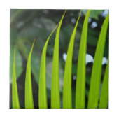 Carreau Areca Palm Frond (Devant)