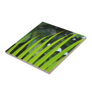 Carreau Areca Palm Frond