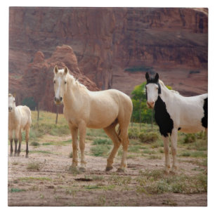 Carreau Arizona, Navajo réserve indienne, Chinle,