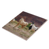 Carreau Arizona, Navajo réserve indienne, Chinle, (Côté)