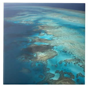 Carreau Arlington Reef, Great Barrio Reef Marine Park,