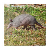 Carreau Armadillo (Devant)