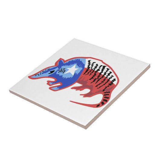 Carreau Armadillo du Texas (Côté)