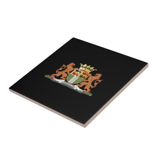 Carreau Armoiries de Rotterdam (Côté)