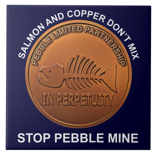 Carreau Arrêtez la mine de galets - Pebble Mine Penny (Devant)