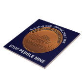 Carreau Arrêtez la mine de galets - Pebble Mine Penny (Côté)