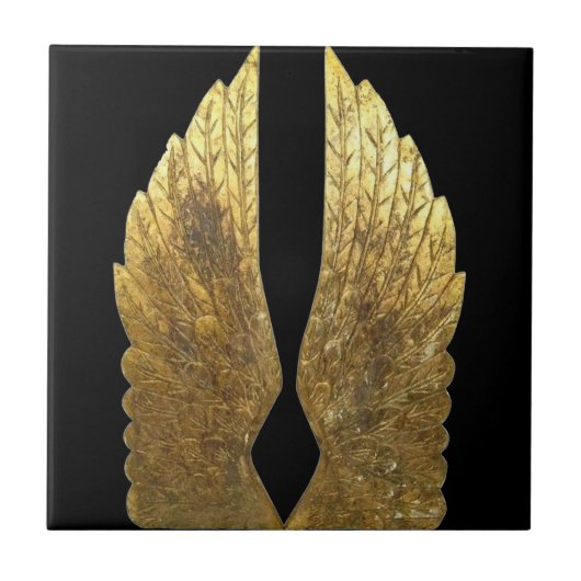 Carreau arrière d'ailes Gold Angel (Devant)