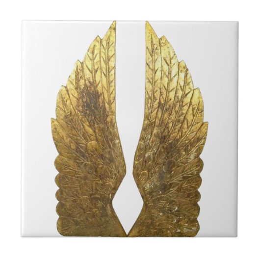 Carreau arrière d'ailes Gold Angel (Devant)