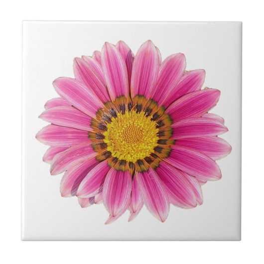 Carreau Arrière - plan blanc à fleurs roses (Devant)