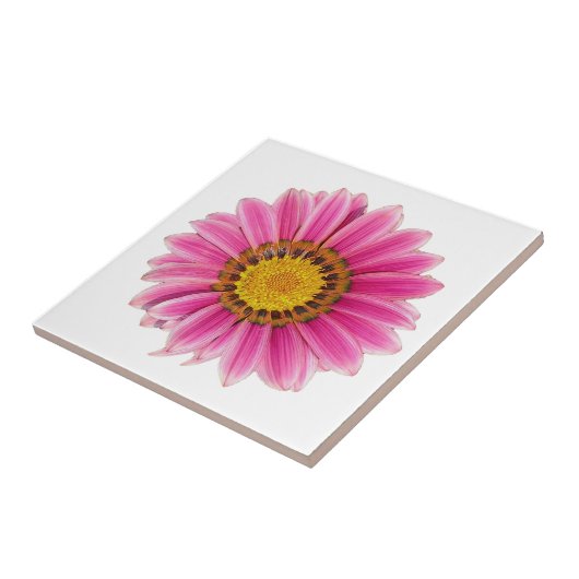 Carreau Arrière - plan blanc à fleurs roses (Côté)