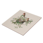 Carreau Arrière - plan de nidification des oiseaux (Côté)