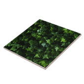 Carreau Arrière - plan ivoire, Feuilles verts, réalisme na (Côté)