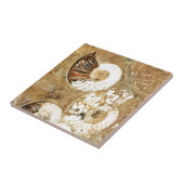 Carreau Arrière - plan préhistorique avec les coquilles (Côté)