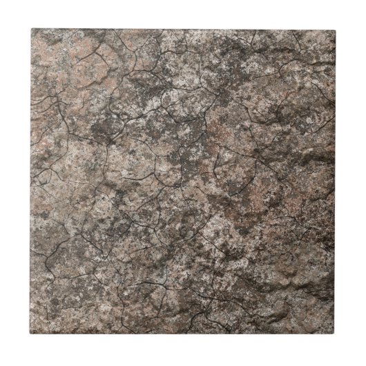 Carreau Arrière - plan sec criqué de texture de (Devant)