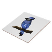 Carreau Art Blue Jay (Côté)