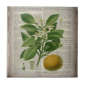 Carreau art botanique vintage contemporain (Devant)