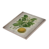 Carreau art botanique vintage contemporain (Côté)