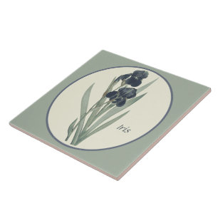 Carreau Art Botanique vintage Iris Blossoms Cameo