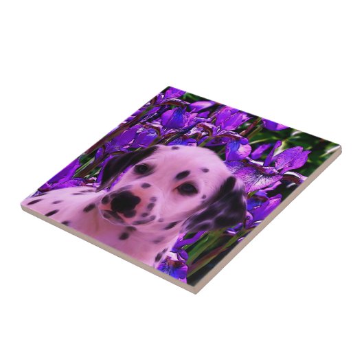 Carreau Art chiot dalmate (Côté)