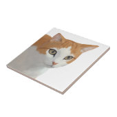 Carreau Art de chat roux adorable (Côté)