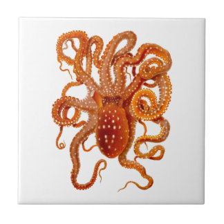 Carreau Art de créature de mer de céphalopode du poulpe