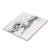 Carreau Art de croquis de dessin de cheval fait main (Côté)