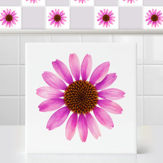 Carreau Art de fleurs d'échinacée Coneflowers Violet aquar